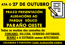 Modelo alegacións P.E. PARAÑO OESTE