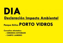 DECLARACIÓN IMPACTO AMBIENTA P.E. PORTO VIDROS
