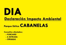 DECLARACIÓN IMPACTO AMBIENTAL P.E. CABANELAS