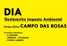 DECLARACIÓN IMPACTO AMBIENTAL CAMPO DAS ROSAS