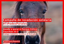 PRECISAMOS DA TUA AXUDA, para frear o parque eólico Touriñan III-2