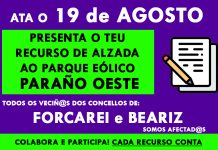 Autorización administrativa previa e autorización de construción P.E. PARAÑO OESTE