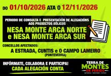 En exposición pública os parques eólicos Nesa Monte Arca Norte e Sur